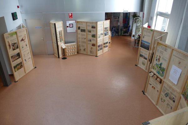 Exposició Guilleries (1)