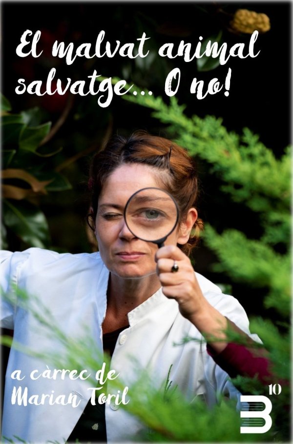 'El malvat animal salvatge... o no!' a l'Hora del Conte del mes de febrer