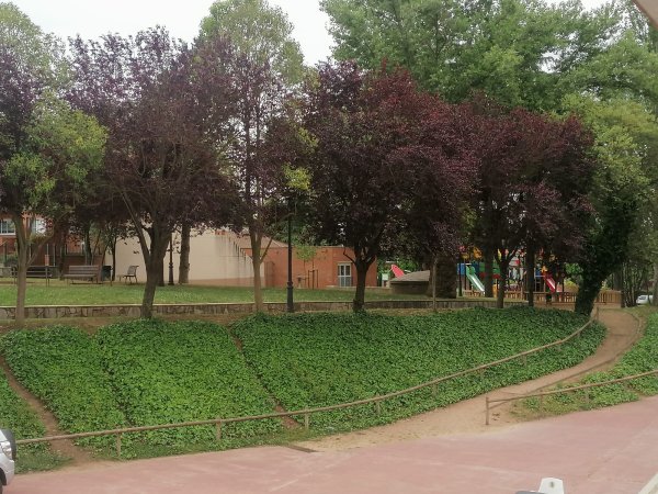 Sessió presencial de l'Storytelling amb Sara Carline Sessió presencial de l'Storytelling amb Sara Carline