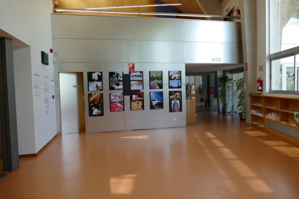 Exposició de fotografies del curs d'Iniciació a la fotografia