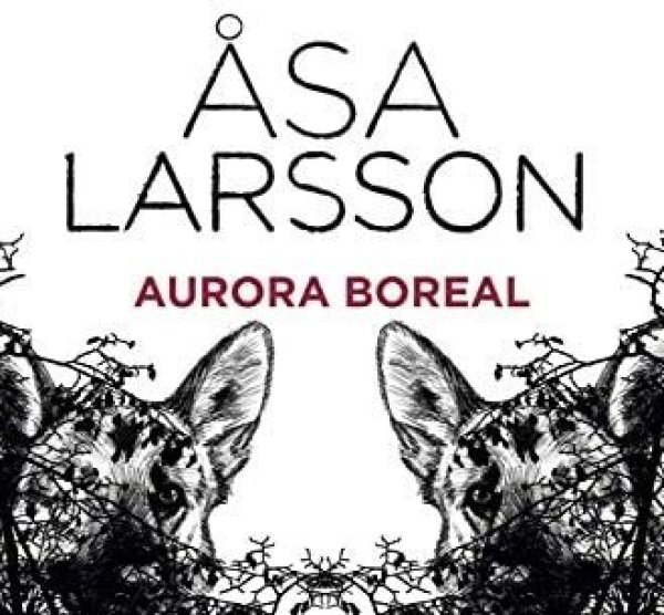 'Aurora boreal' al Club de Lectura de novel·la negra