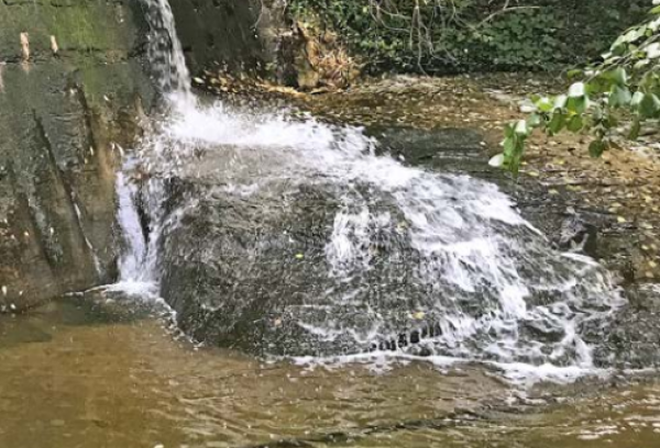 Presentació del llibre 'Els molins de la Riera de Taradell: aproximació històrica i arqueològica' Presentació del llibre 'Els molins de la Riera de Taradell: aproximació històrica i arqueològica'