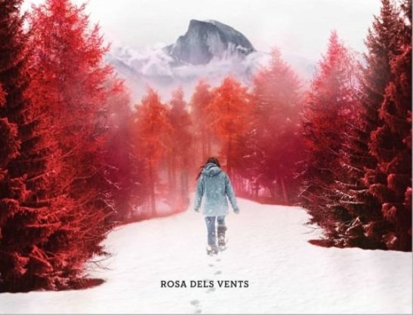 Presentació del llibre 'Quan la neu es fon' de Laia Vilaseca