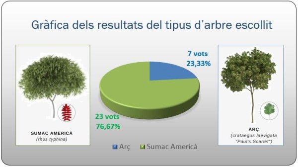 gràfica resultats tipus d\'arbre - Plana de la Madriguera