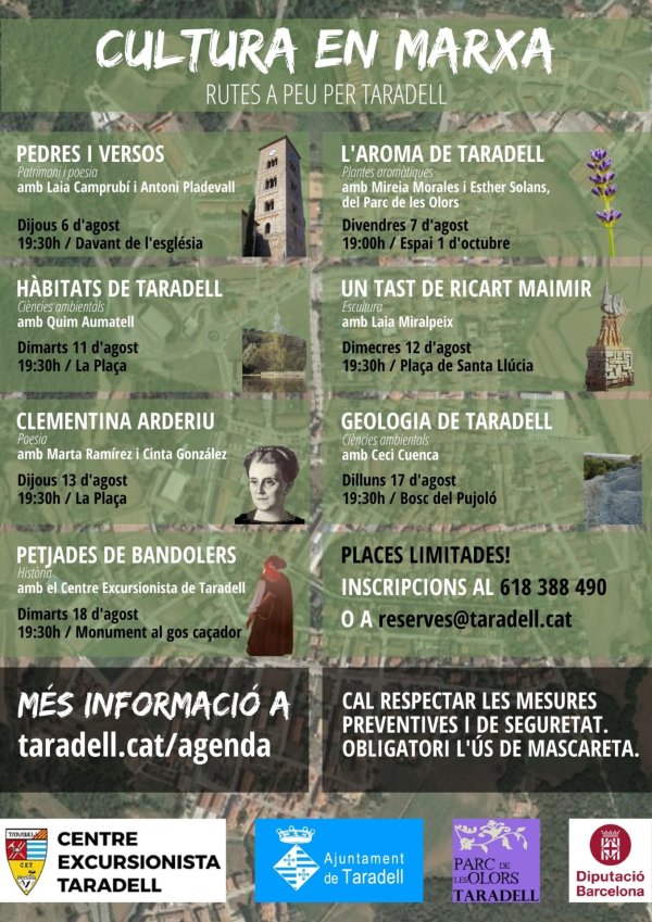 rutes cartell web