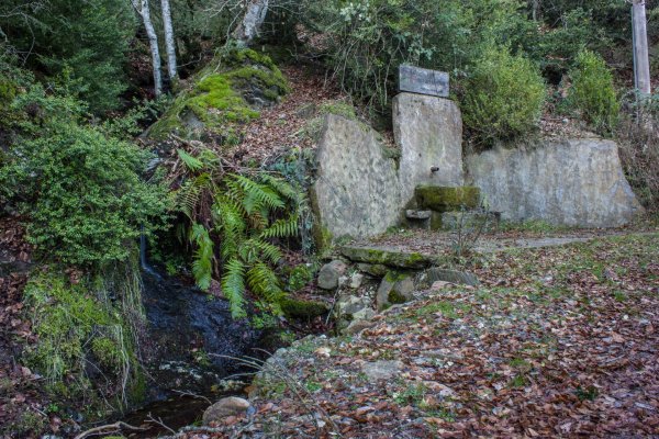 Inauguració de l'exposició 'Fonts del Montseny' a la Biblioteca de Taradell