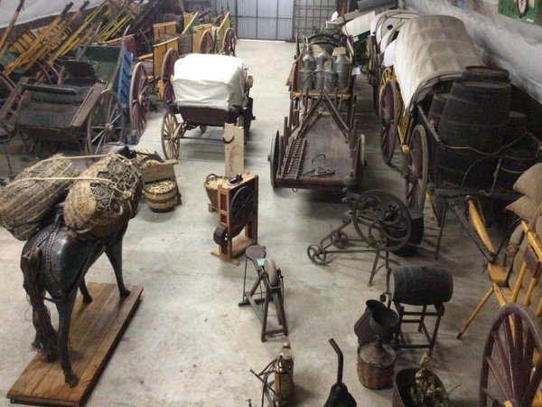 Interior de l\'Alzinar de la Roca