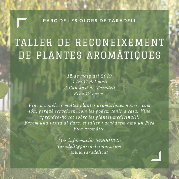 Taller de reoneixement de plantes aromàtiques - Parc de les Olors Taller de reoneixement de plantes aromàtiques - Parc de les Olors