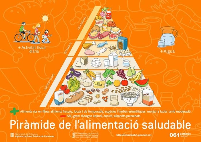 Piràmide d\'alimenació