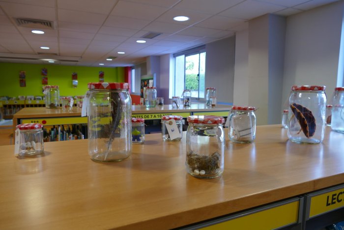 Exposició: '25+1 Imperdibles' a la sala Infantil