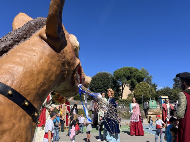 FOTOS. La Trobada de Gegants celebra 30 anys