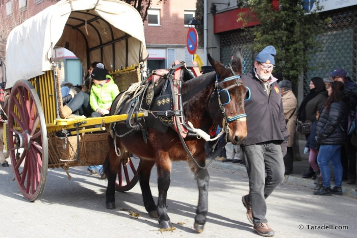 Carro de vela