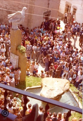 Mostra Internacional de Cinema Etnogràfic dedicada a la Festa de l’Arbre de Taradell