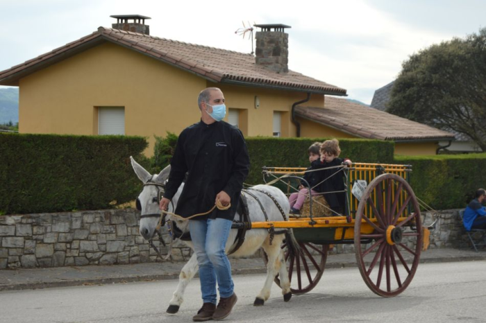 Carro de burra