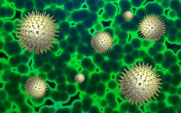 Especials coronavirus