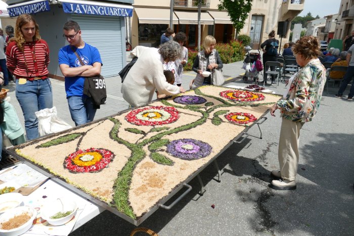 FOTOS: Les entitats surten al carrer en el Dia de l'Associacionisme Cultural