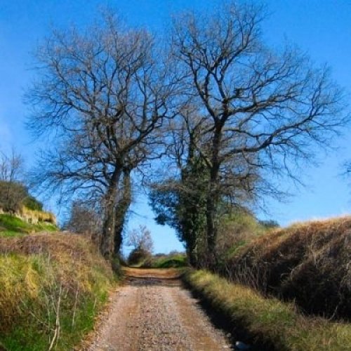 Rutes autoguiades per la natura  Rutes autoguiades per la natura