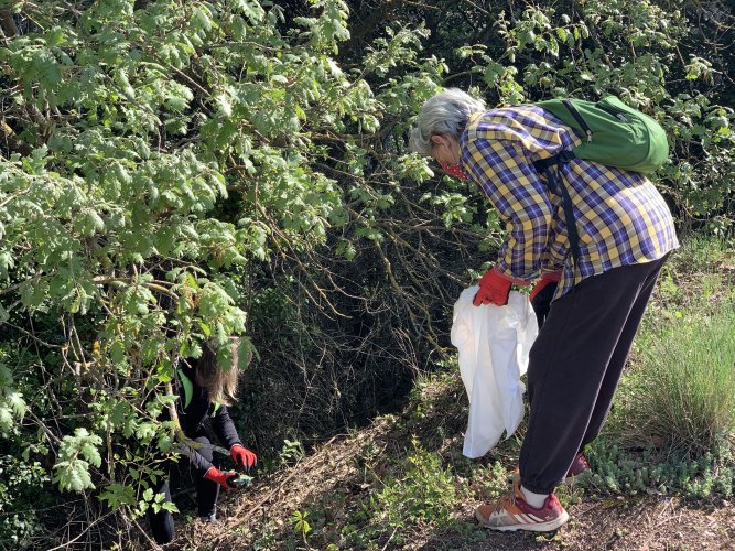 FOTOS. 50 voluntaris i els centres educatius netegen l'entorn de Taradell