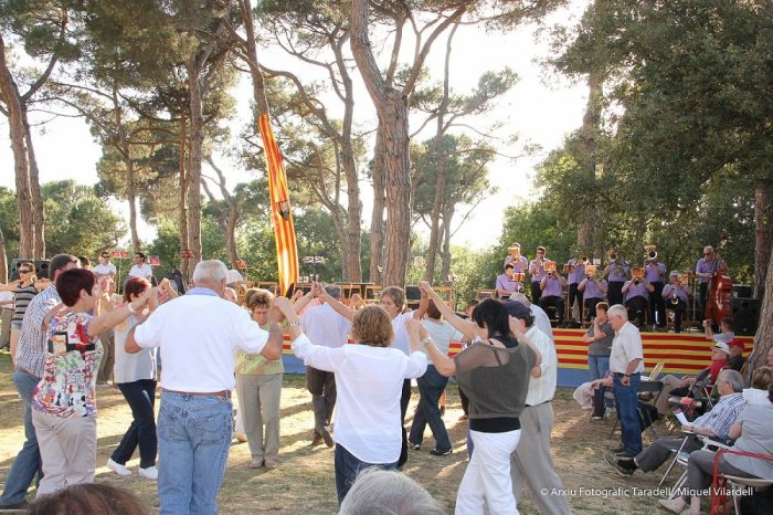 Ballades de sardanes