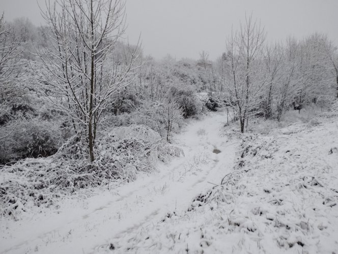 FOTOS. La nevada del 3 de març