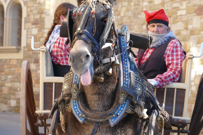 FOTOS. El passant dels Tres Tombs torna al centre del poble