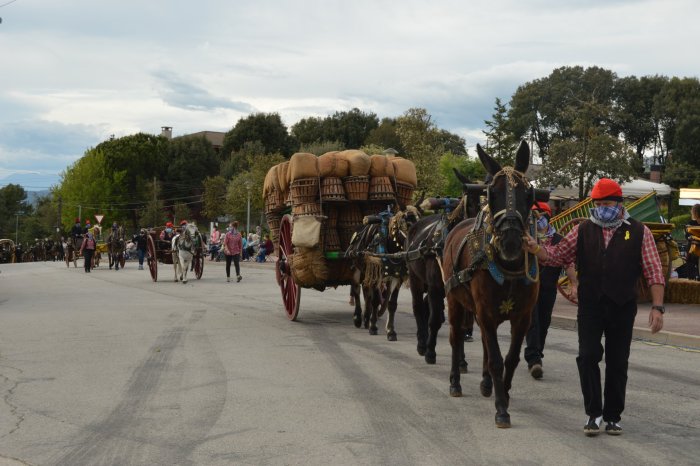 GALERIA DE FOTOS i VÍDEO. Passant dels Tres Tombs 2021