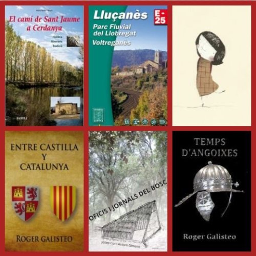 Presentacions de llibres el 2013