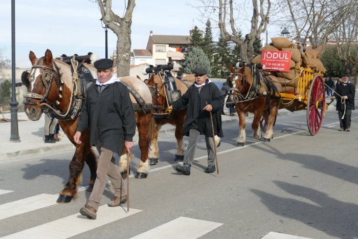 FOTOS i VÍDEO. Exitós passant dels Tres Tombs amb tradició, patrimoni, futur i protecció animal