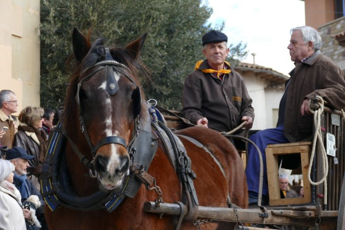 FOTOS Tonis Taradell 2024: un passant menys animal