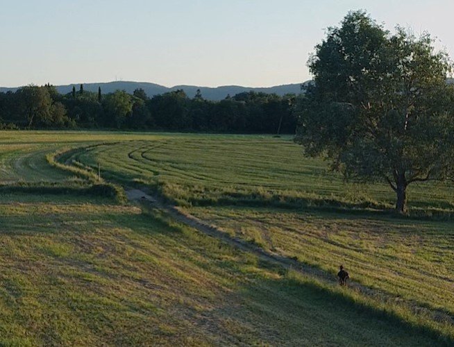 Ajuda'ns a mantenir viu el bosc 