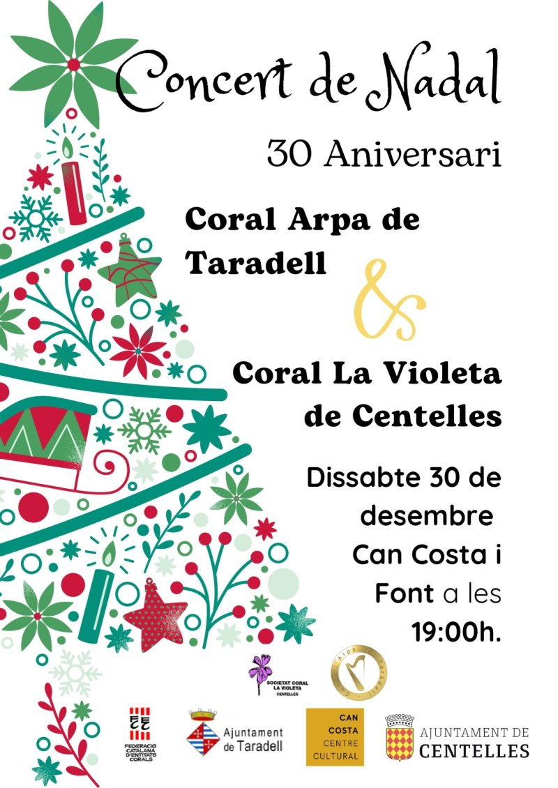 Concert de Nadal Taradell page 0001