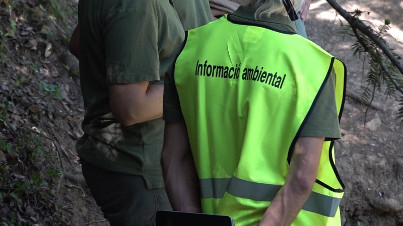 Informador ambiental Informador ambiental