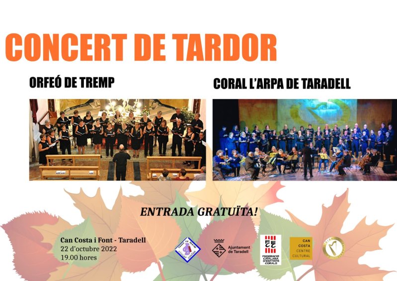 Concert Arpa i Tremp