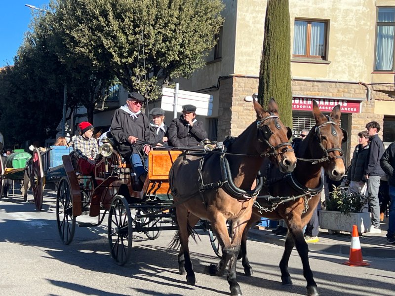 Passant Tonis 2025 85