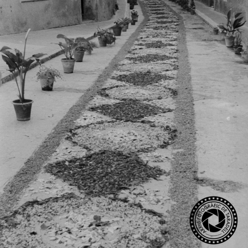 Foto  Corpus antiga (2)