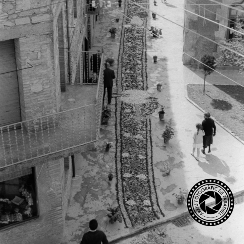 Foto  Corpus antiga (1)