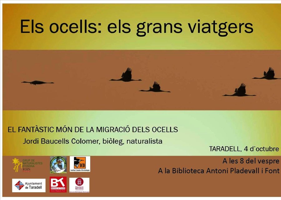 Cartell Jordi Baucells amb hora Cartell Jordi Baucells amb hora
