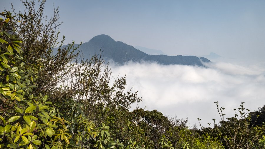 De Vietnam a Cambodja. Parareda i aregall
