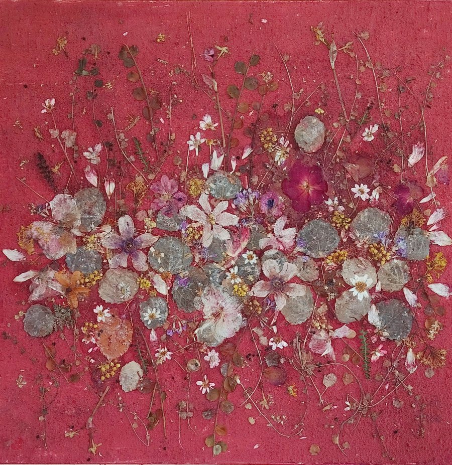 El Silenci de les Flors | Exposició Lola Hosta 2026