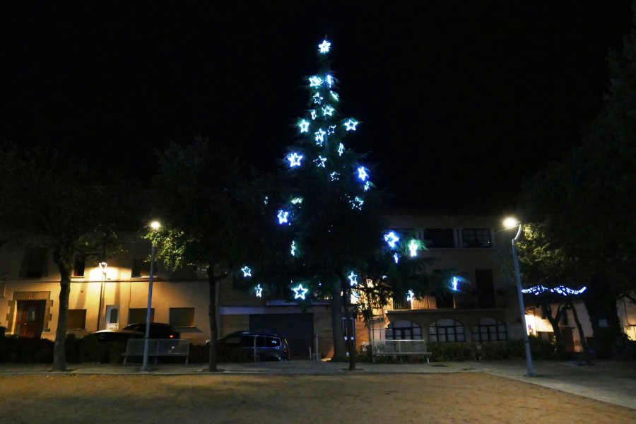 Encesa llums Nadal 2023 (25) Encesa llums Nadal 2023 (25)