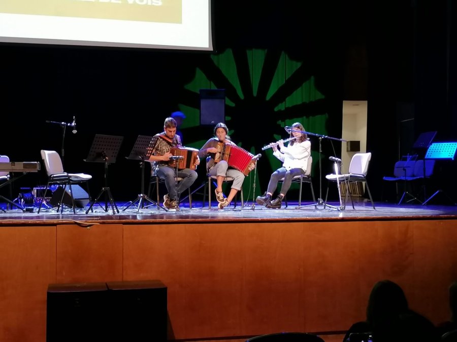 Escola Música - Formacions