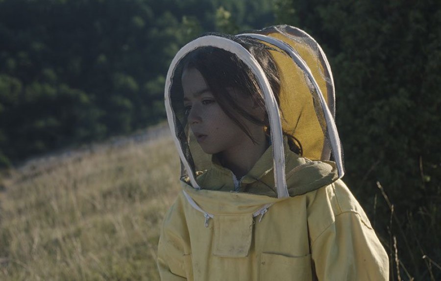 Fotograma de la pel·lícula 20.000 especies de abejas