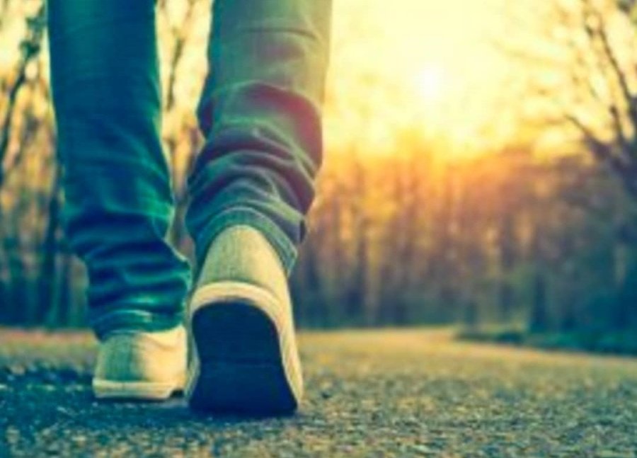 Imatge de recurs — cames caminant cap a una posta de sol Imatge de recurs — cames caminant cap a una posta de sol