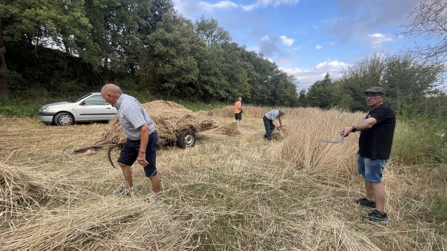 Jornades de Patrimoni 2024
