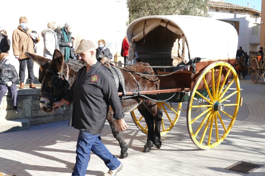 Passant dels Tres Tombs (60)