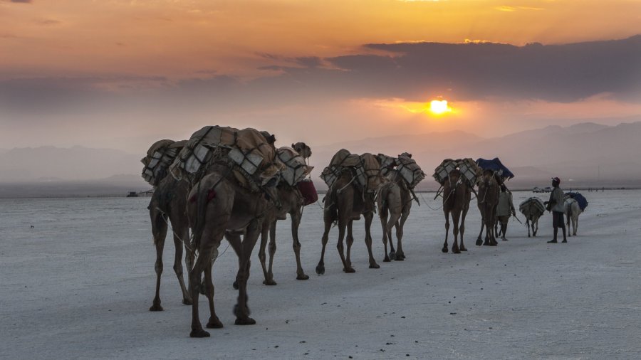 Projeccions CET 2021: Etiopia Projeccions CET 2021: Etiopia