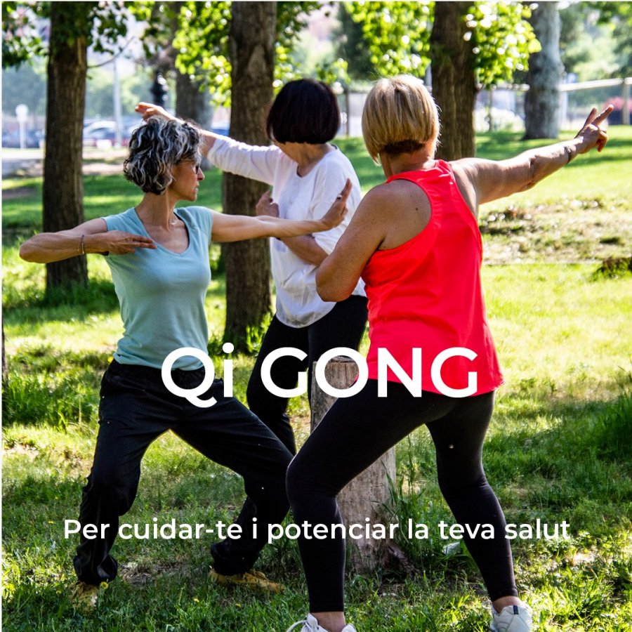 Qi Gong Qi Gong