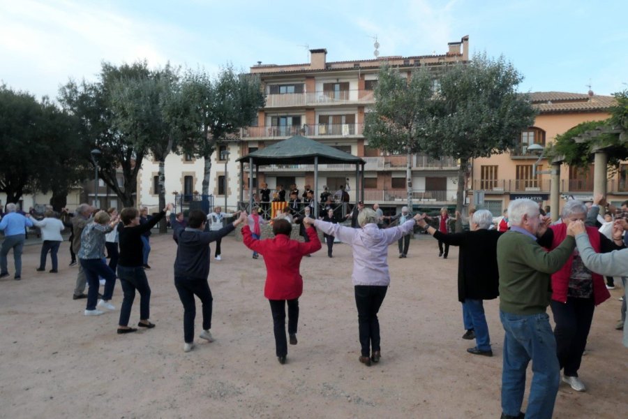 Sardanes Castanyada Sardanes Castanyada