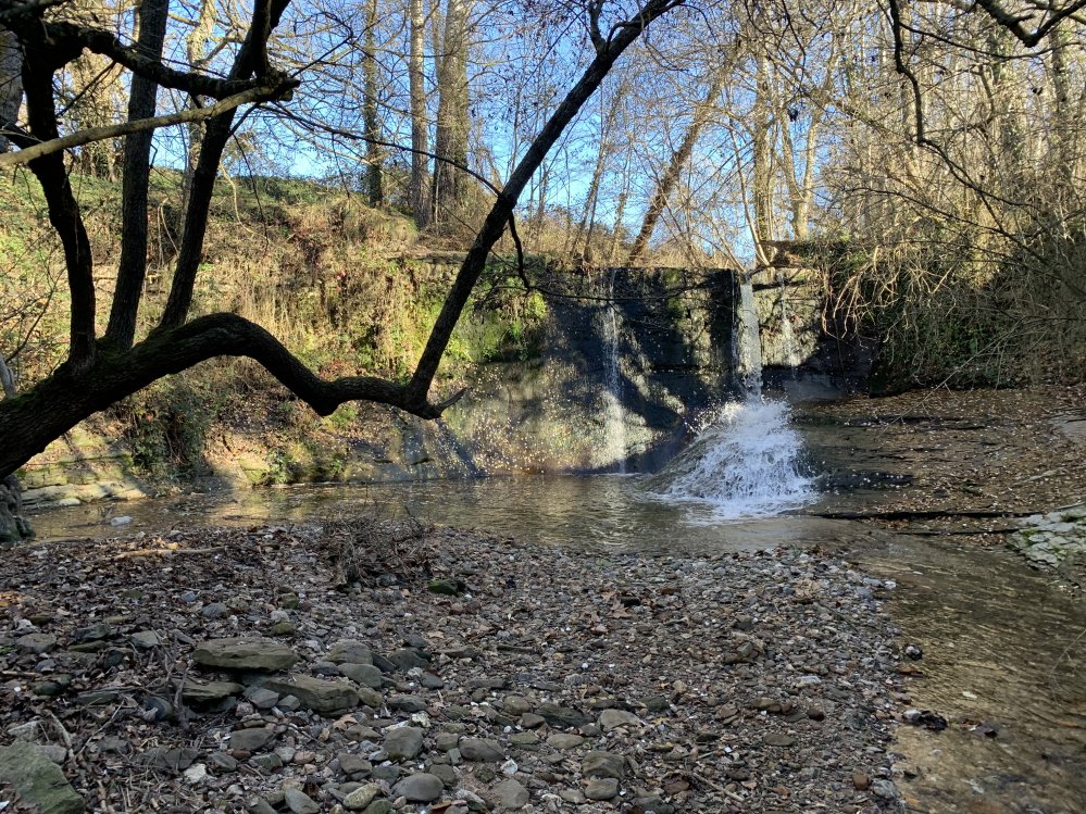 La Riera de Taradell al seu pas per Bellpuig